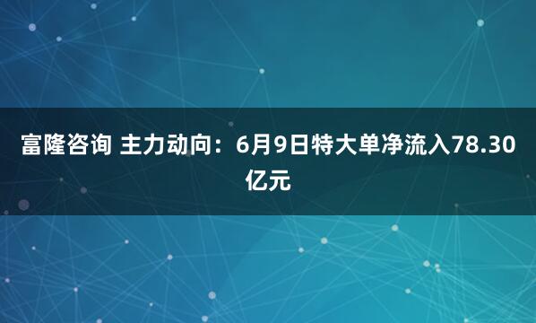 富隆咨询 主力动向：6月9日特大单净流入78.30亿元