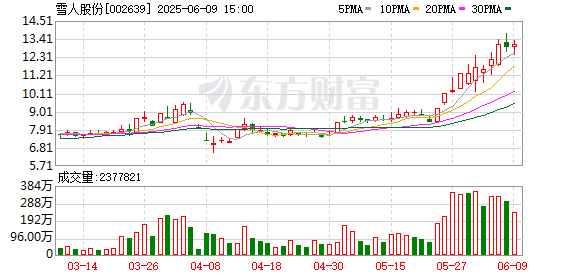 至德投资 雪人股份6月9日龙虎榜数据